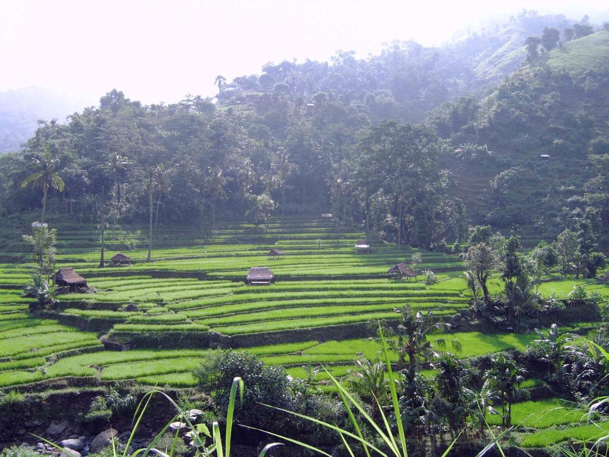 Villa Arjuna Seraya Esterno foto
