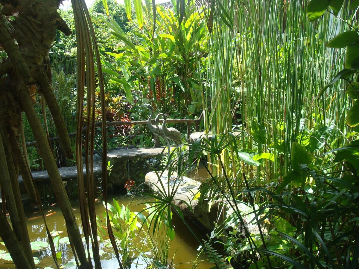 Villa Arjuna Seraya Esterno foto
